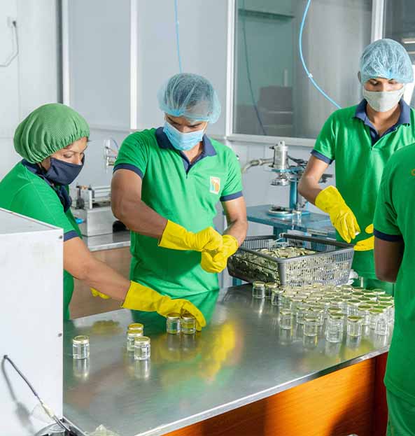 CEYLON COCO GREEN MANUFACTURING PVT LTD